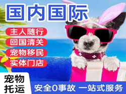 兴义万峰林机场托运国际宠物托运 【国